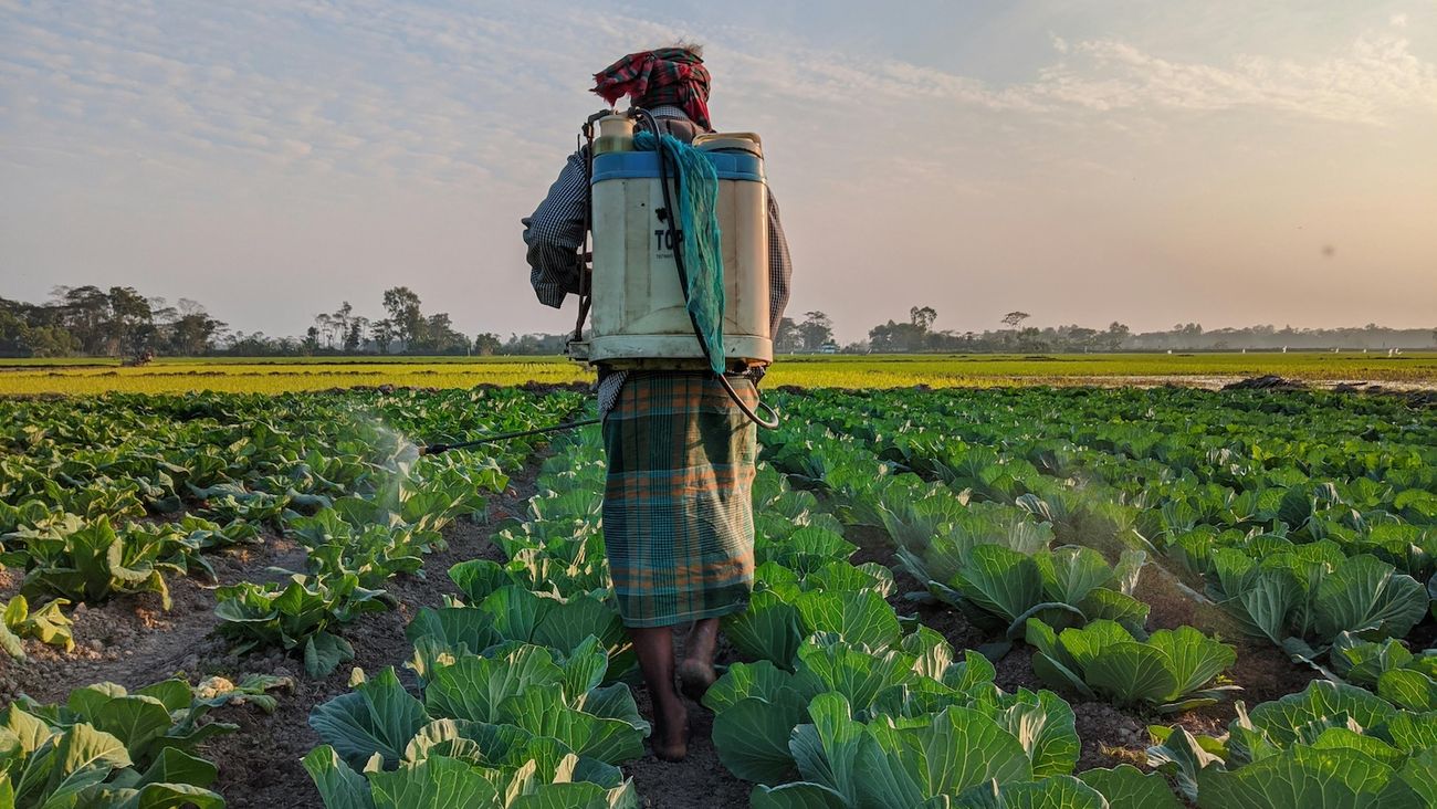 Pesticidi nel piatto: quasi un alimento su due contiene residui chimici