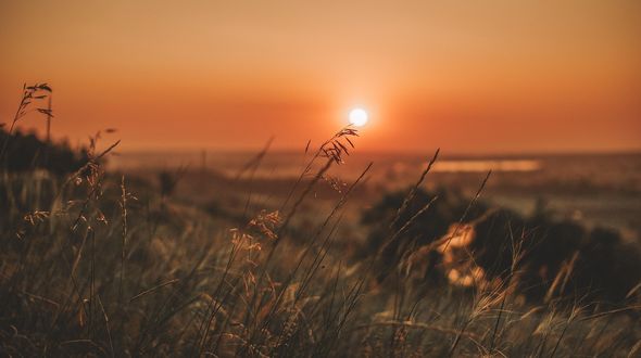 Il 2025 verso il secondo anno più caldo di sempre: i nuovi dati di Copernicus