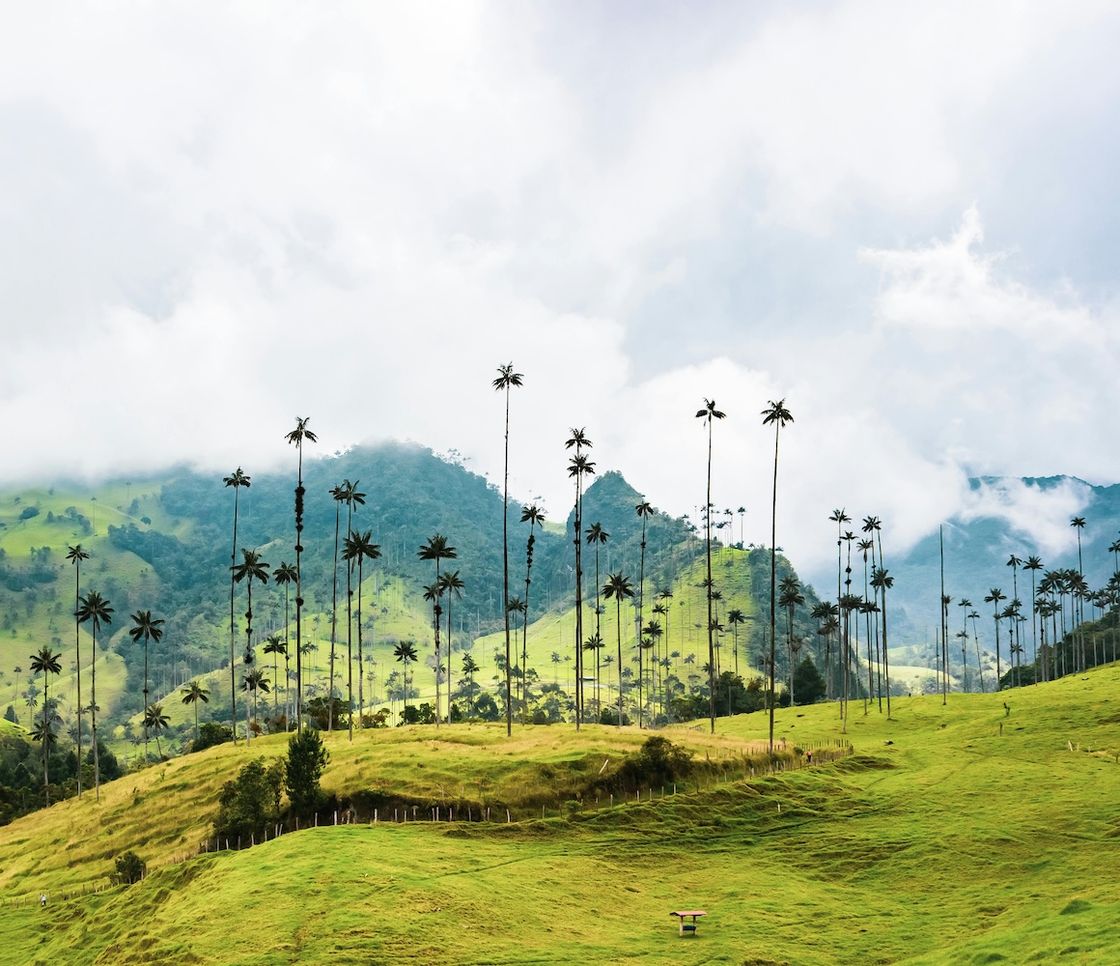 La Colombia vieta nuovi progetti di petrolio e miniere nella sua Amazzonia