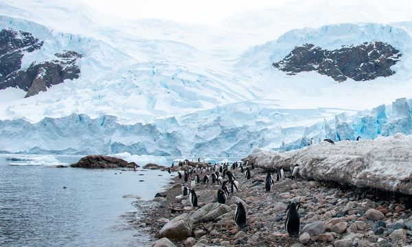 La Penisola Antartica si scalda più del previsto: superata la soglia critica