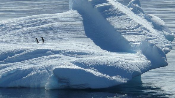 La Tara Polar Station è partita verso il Polo Nord: il laboratorio galleggiante studierà il clima