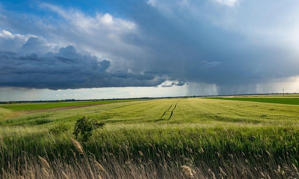 Agricoltura ed eventi estremi: oltre 20 miliardi di danni in quattro anni in Italia