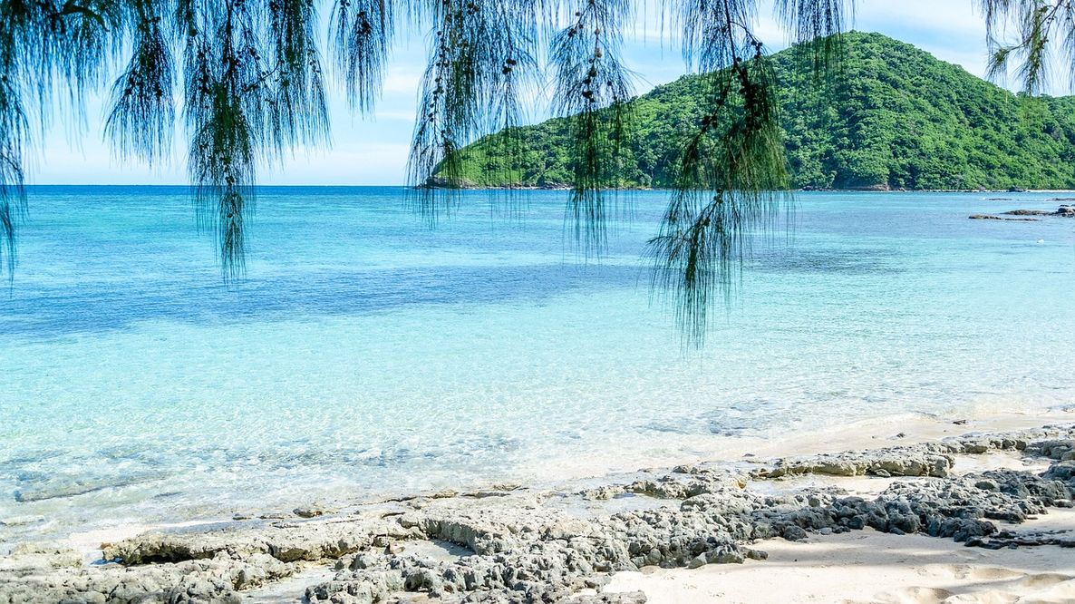 Microplastiche nei pesci del Pacifico: contaminazione anche nelle aree più remote