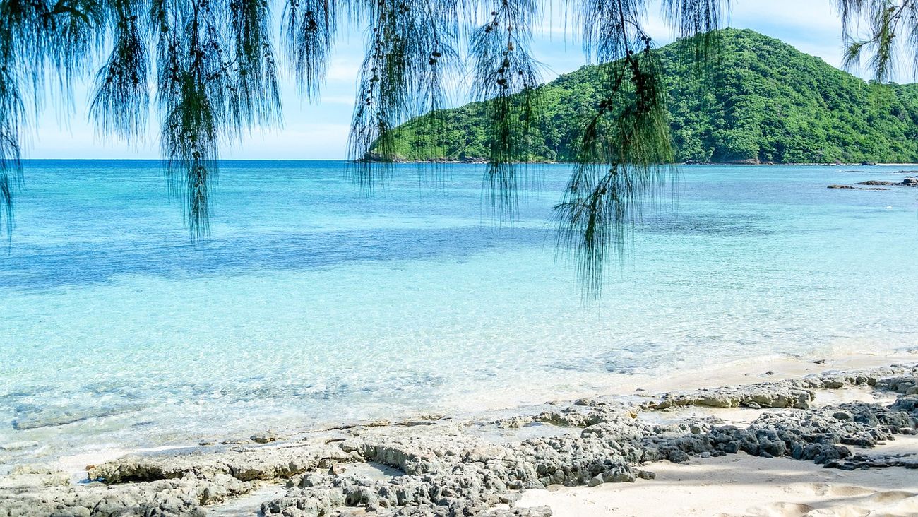 Microplastiche nei pesci del Pacifico: contaminazione anche nelle aree più remote