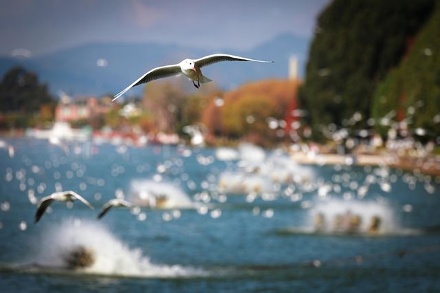 Nature Restoration Law: l’Italia è in forte ritardo sull’attuazione della legge europea per il ripristino della natura