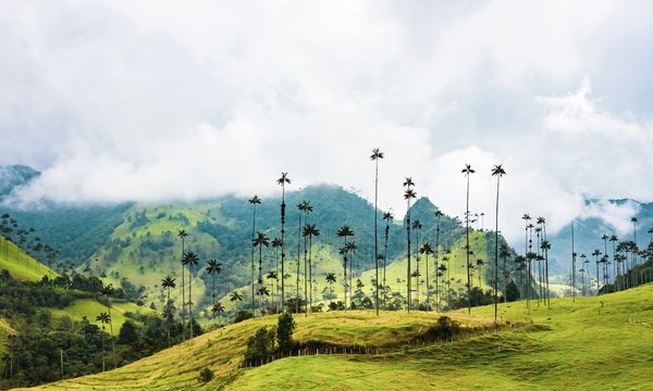 La Colombia vieta nuovi progetti di petrolio e miniere nella sua Amazzonia