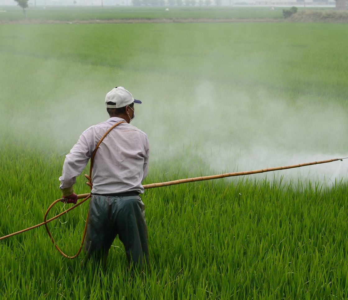 Pesticidi, quasi la metà degli agricoltori del mondo viene avvelenata ogni anno