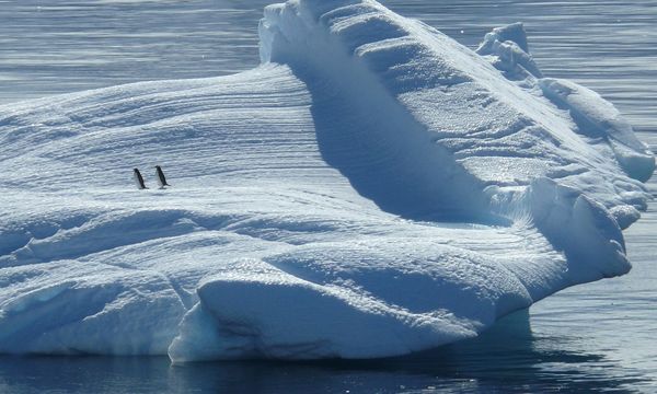 La Tara Polar Station è partita verso il Polo Nord: il laboratorio galleggiante studierà il clima