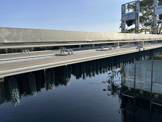 Lo scovolino che cattura la plastica dall'acqua