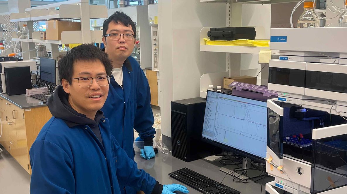 Plastica con una “data di scadenza”: la nuova tecnologia che la fa degradare in giorni, mesi o anni