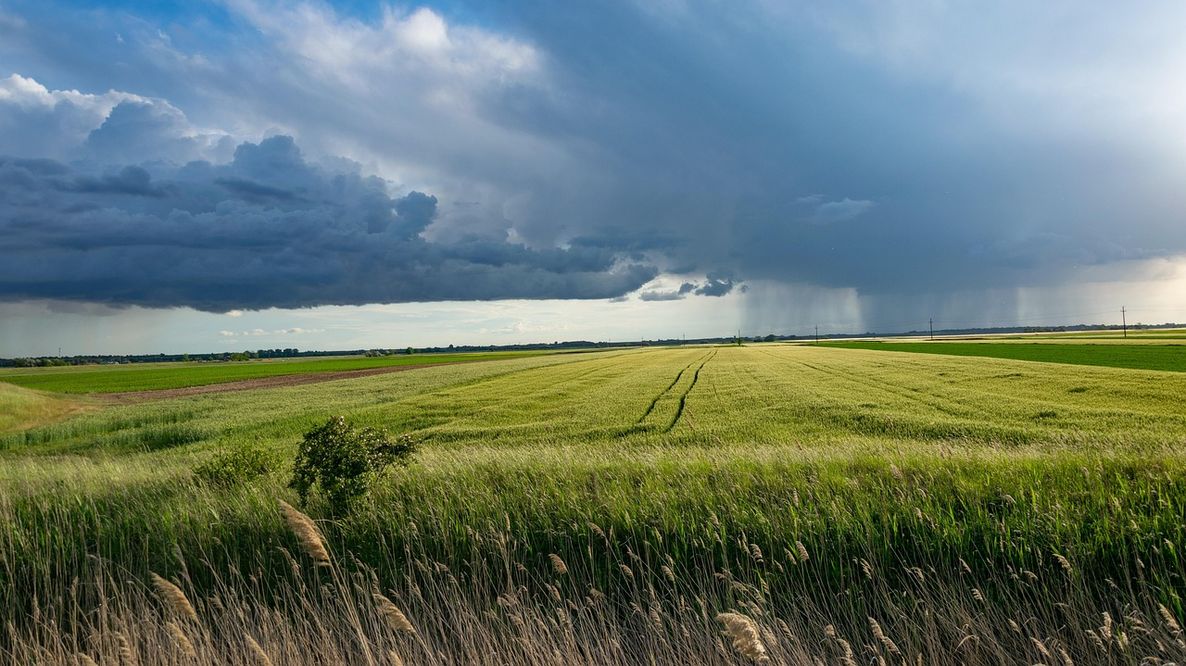 Agricoltura ed eventi estremi: oltre 20 miliardi di danni in quattro anni in Italia