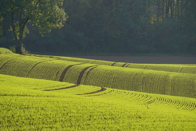 Agricoltura ed eventi estremi