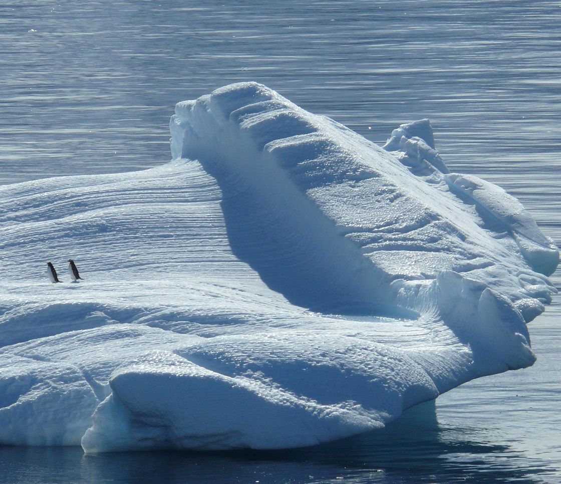 La Tara Polar Station è partita verso il Polo Nord: il laboratorio galleggiante studierà il clima