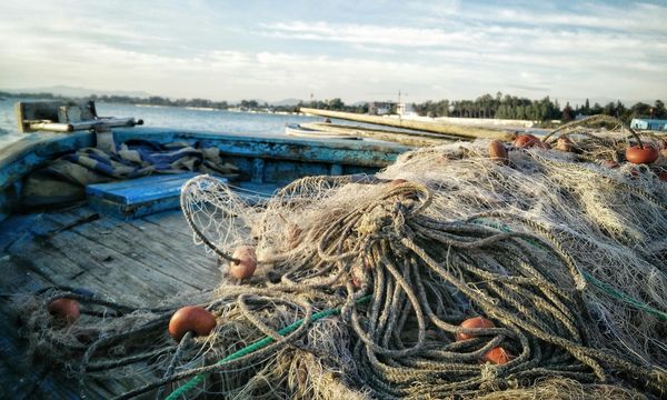 Pesca a strascico e biodiversità: il Mediterraneo sotto pressione