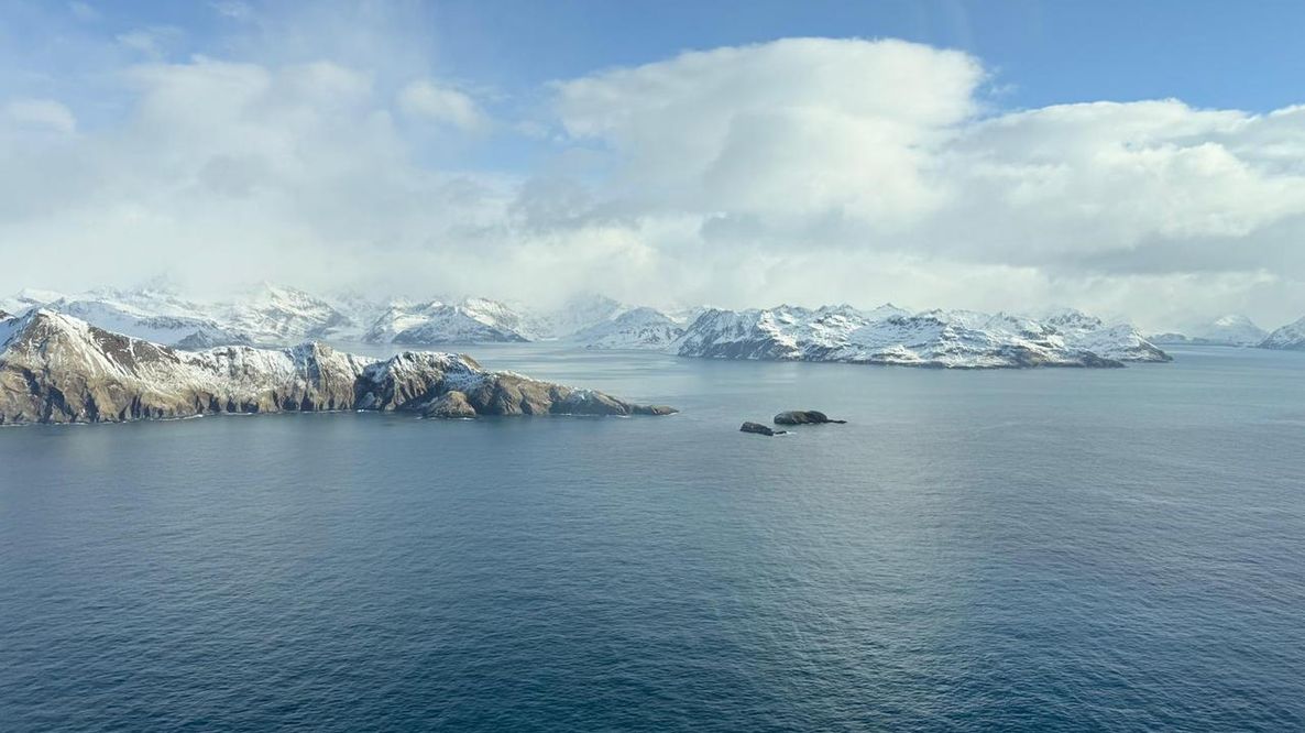 Uno degli iceberg più grandi e vecchi del mondo sta per disintegrarsi