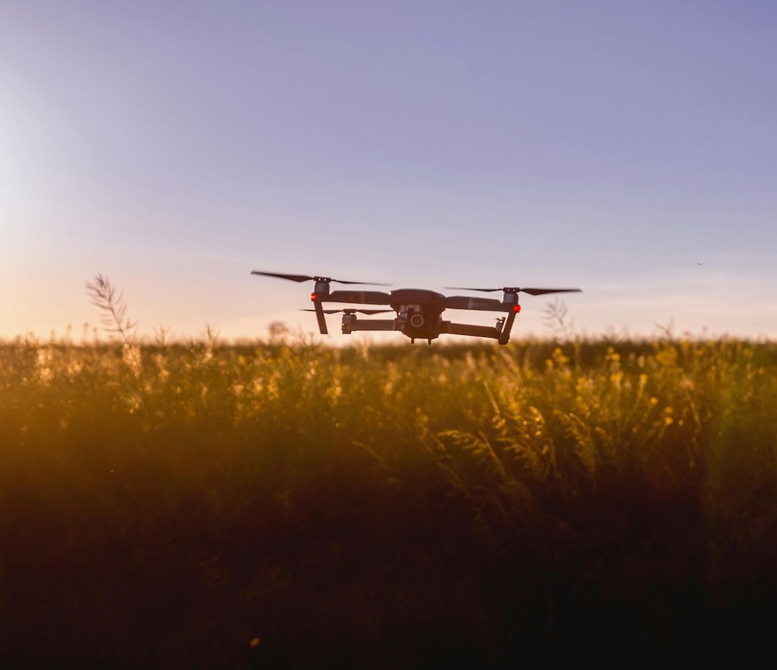 Intelligenza artificiale e riforestazione: i droni che ricostruiscono le foreste dieci volte più velocemente