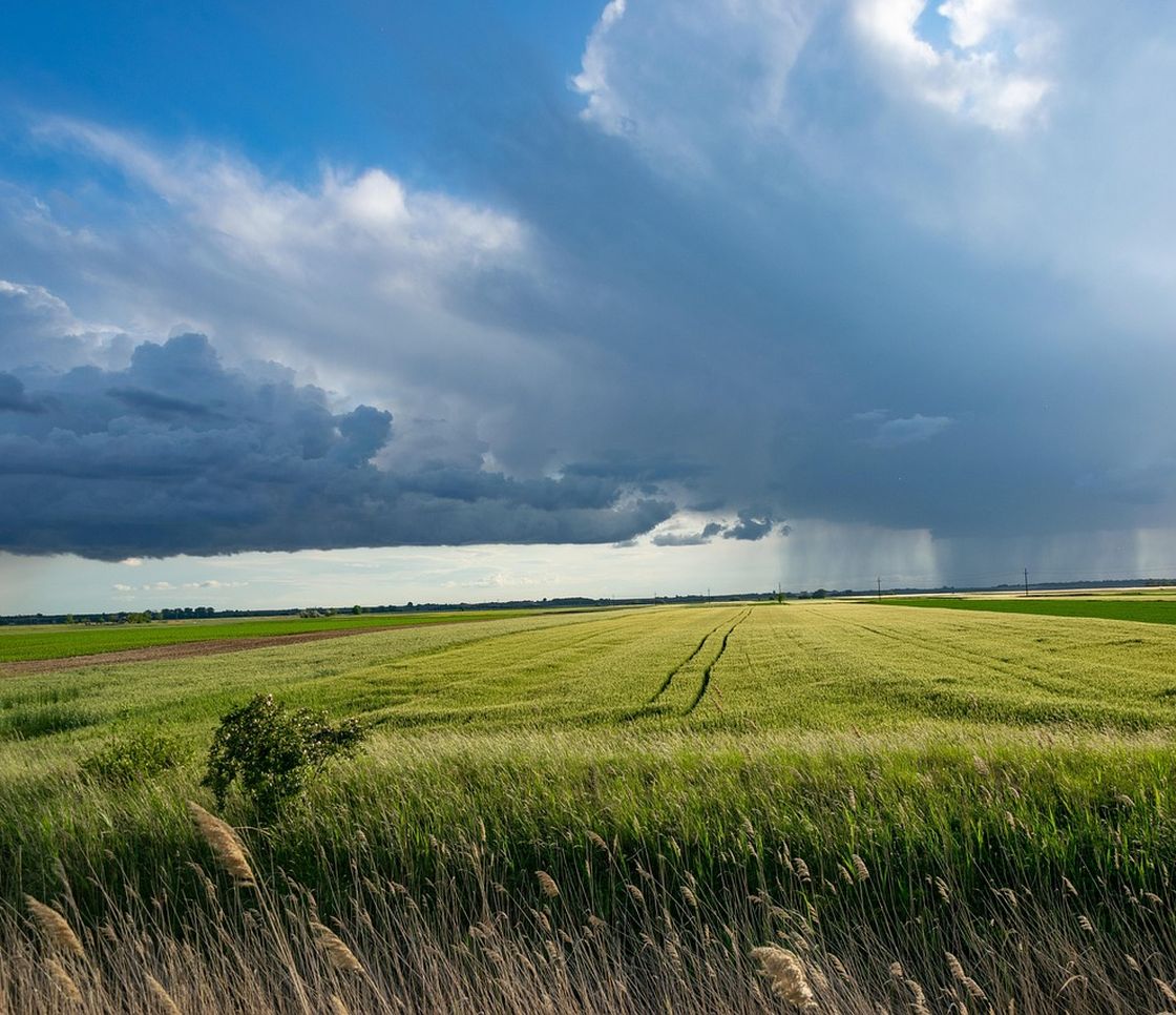 El Niño e inflazione alimentare: i possibili effetti sulla produzione agricola fino al 2028