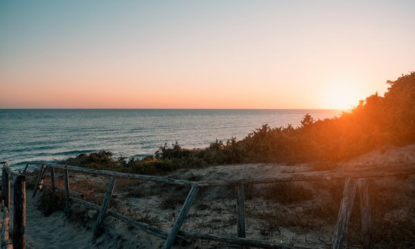 Dune contro le mareggiate: il Belgio usa la natura per difendersi da tempeste e innalzamento del mare