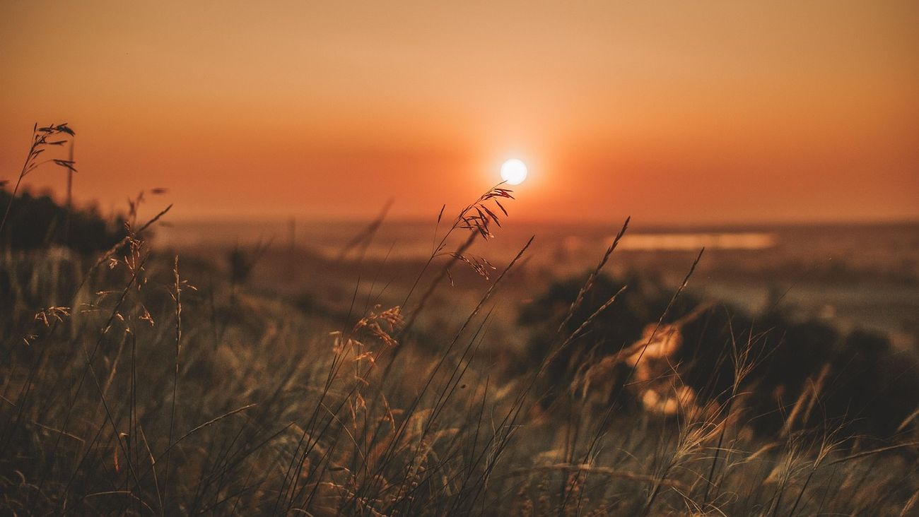 Il 2025 verso il secondo anno più caldo di sempre: i nuovi dati di Copernicus