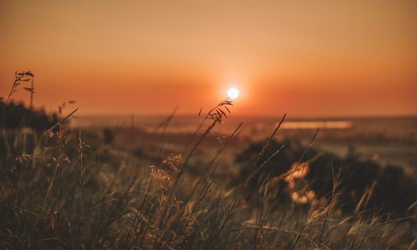 Il 2025 verso il secondo anno più caldo di sempre: i nuovi dati di Copernicus