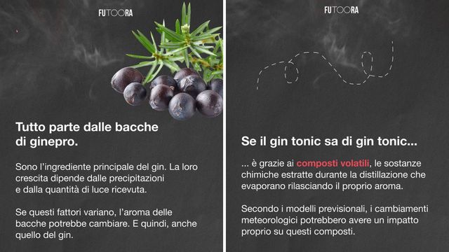Il clima cambia... e anche il gusto del tuo gin tonic