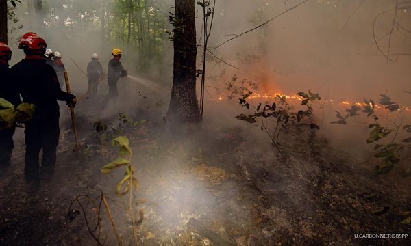 Incendi in Francia, 220mila evacuati nella Gironda. In Spagna altri 100mila sfollati